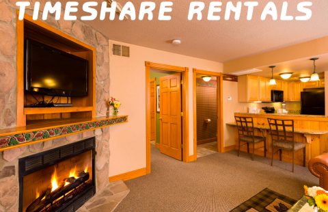 Tips for finding the best timeshare rentals